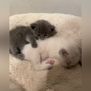 Meet your Posher, Jocelyn